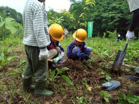 [富山10団] 6月１日　オイスカ合同植樹活動　参加