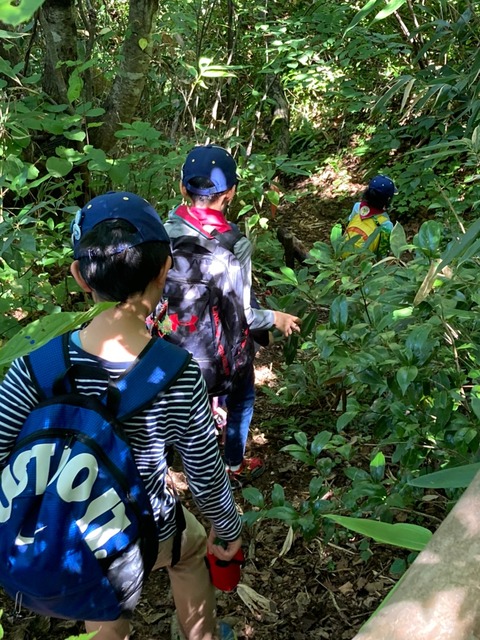 line_3034038535219166