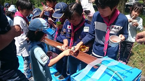line_505163125990678