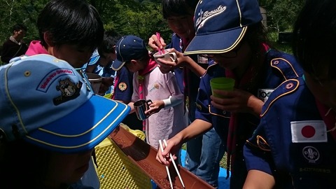 line_505165396564792