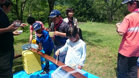 line_505166596828854