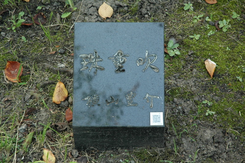 ����˭���ٻ��ԡ�Ħ��