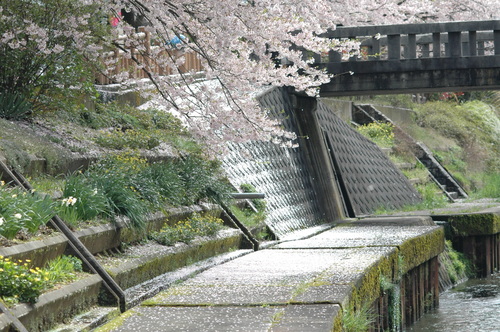 �ٻ��ԡ��Ƴ�ȯ