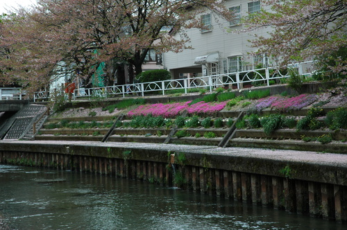 �ָ�����������ٻ���