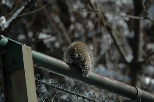 ���롡��ٻ��ԡ����ƥ��ݥå�