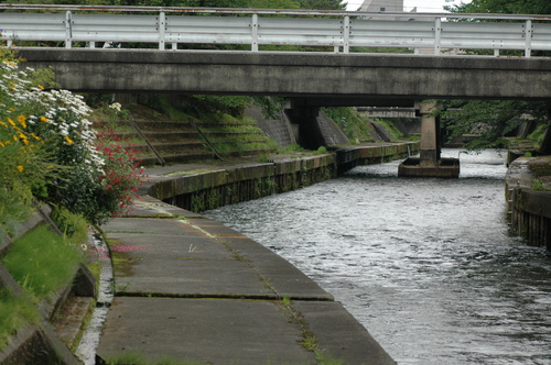 �ٻ��ԡ������������