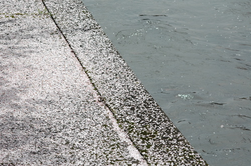 ������������ٻ���