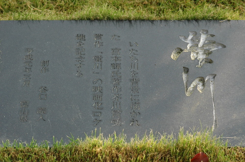 ���ܵ�������ޡ�����