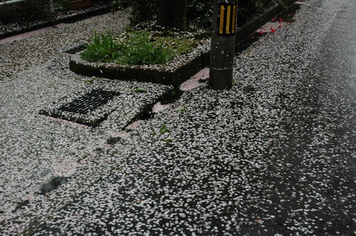 ��ƻ���������ָ�