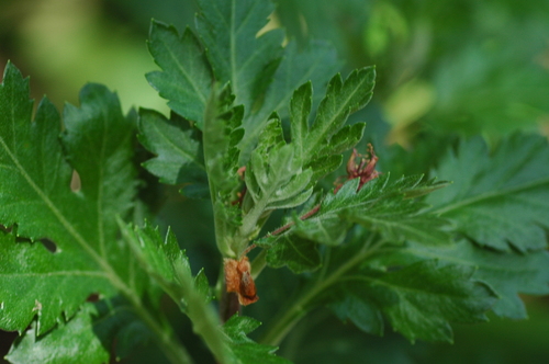 ˩����⤮���ߡ���������ٻ���