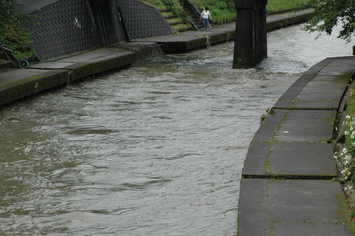 ��������ٻ���