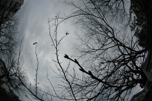 �ٻ��ԡ��ߤζ������