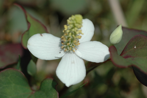 �ɤ����ߡ������ٻ��ԡ���������