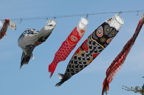 �����Τܤꡡ��硡�޷�ͷ������ɤ������