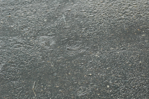 富山市 梅雨 雨 水滴