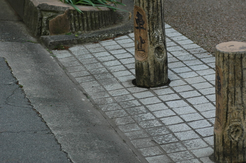 いたち川 掃除 富山市