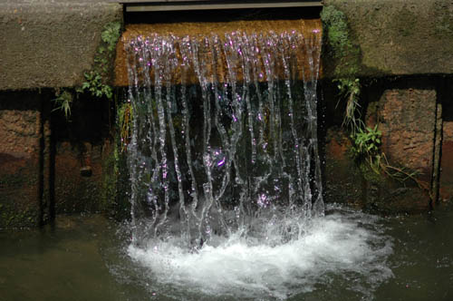 �ٻ��ԡ���������졡����