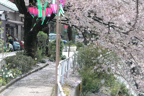 �����㡡�ٻ��ԡ�