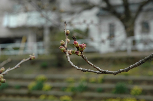 �������֡���������ָ����ݥåȡ�