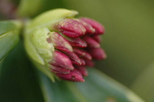 2������֡��ٻ��ԡ���������