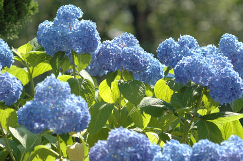 �ٻ��ԡ���������������������۲֡���������