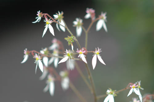 ��������֣�4��6��