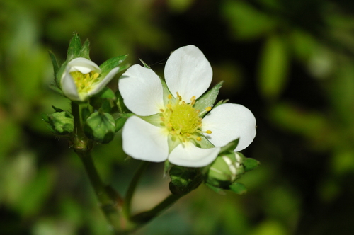 ��֡���������������ٻ��ԡ��ٻ���