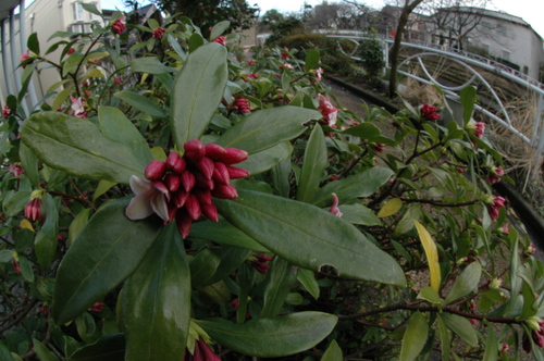 �ٻ��ԡ�������������֡�3��