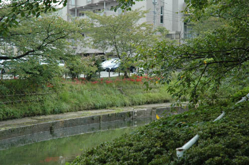 �ٻ��ԡ��͵����ݥåȡ����������󥰡���������