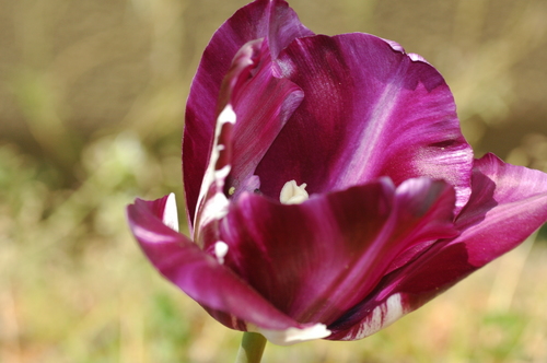 �ٻ��ԡ�����������塼��åס��ٻ���������