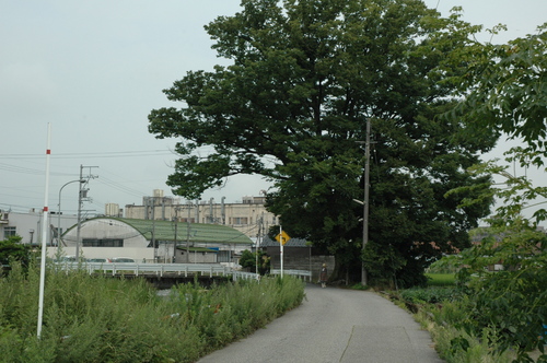 �ٻ��ԡ����������¢��