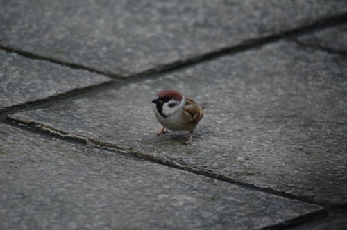 �ٻ��ԡ�������������ᡡ������