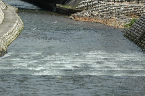 �ɤ�ɤ�����������