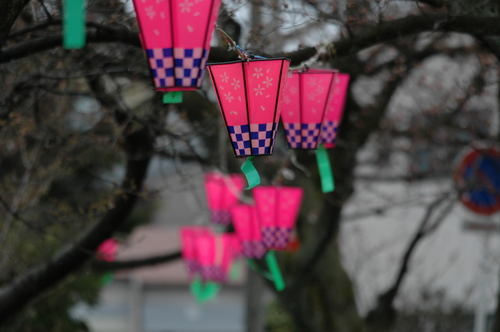 ���פꡡ�ָ����ٻ��ԡ���������