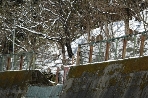 Ω����ϼ���ٻ��ԡ����롡���