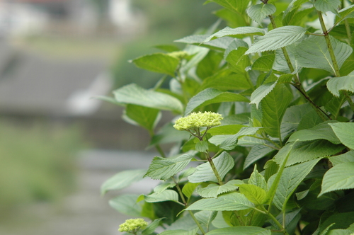 ���۲֡�������������������ٻ���