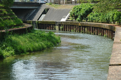 ��������ٻ��ԡ�����������