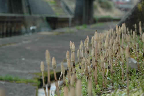 �Ĥ��������ڡ������ߡ��͵�