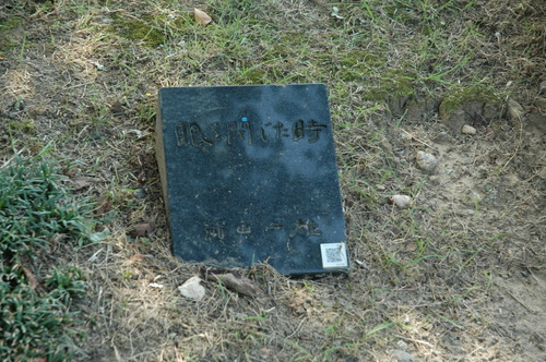 ������ͺ���ٻ��ԡ�Ħ��