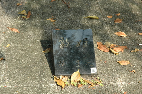 ��˭Ƿ���ٻ��ԡ�Ħ��