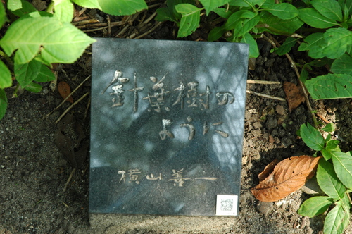 �������졡�ٻ���