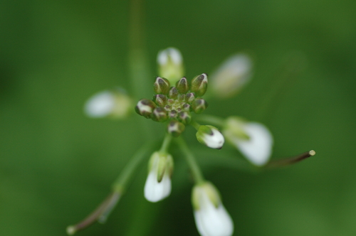 ��������ٻ��ԡ�3��ּ̿�