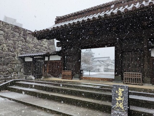 PXL_20260108_023848395.MP