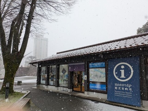 PXL_20260108_023815541.MP