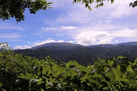 IMG_8907