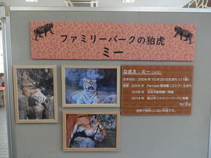 DSC00970