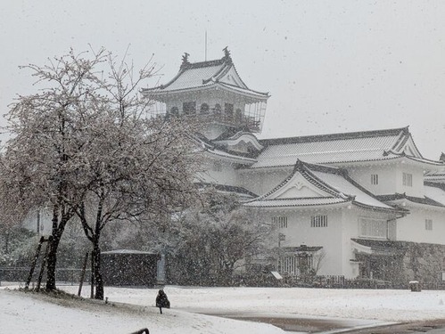 PXL_20260108_023911054.MP