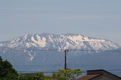 IMG_2214