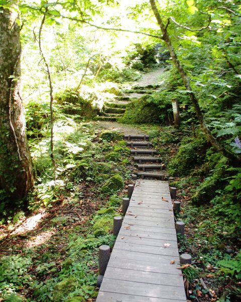 森林セラピートレッキング In 立山山麓 あわすのスキー場 観光とやまねっとブログ 森林セラピートレッキング In 立山山麓 あわすのスキー場 観光とやまねっとブログ