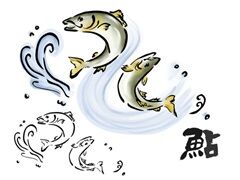 鮎